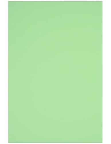 Netuno 20 Blatt Bastelkarton farbig Mittelgrün DIN A4 21 x 29,7 cm 230g Rainbow farbiges Kopierpapier bedruckbar für Inkjet Laser Schule Büro Basteln Druckerpapier bunt Bastelpapier Tonpapier von Netuno