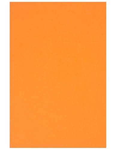 Netuno 20 Blatt Bastelkarton farbig Orange DIN A4 21 x 29,7 cm 230g Rainbow farbiges Kopierpapier bedruckbar für Inkjet Laser Schule Büro Basteln Druckerpapier bunt Bastelpapier Tonpapier von Netuno