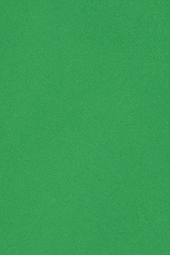 Netuno 20 x Tonkarton DIN A4 210x 297 mm Grün 250g Burano Verde Bandiera Bastel-Karton farbig Fotokarton A4 bunt Karton Hochzeit Taufe Weihnachten Geburtstag DIY-Karten buntes Tonpapier von Netuno