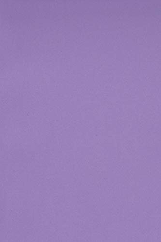 Netuno 20 x Tonkarton DIN A4 210x 297 mm Violett 250g Burano Violet Bastel-Karton farbig Fotokarton A4 bunt Karton Hochzeit Taufe Weihnachten Geburtstag DIY-Karten buntes Tonpapier von Netuno