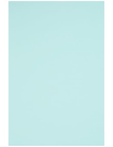 Netuno 200 Blatt Bastelkarton farbig Hellblau DIN A5 14,8 x 21 cm 230g Rainbow farbiges Kopierpapier bedruckbar für Inkjet Laser Schule Büro Basteln Druckerpapier bunt Bastelpapier Tonpapier Netuno 200 Blatt Bastelkarton farbig Hellblau DIN A5 14,8 x 21 cm 230g Rainbow farbiges Kopierpapier bedruckbar für Inkjet Laser Schule Büro Basteln Druckerpapier bunt Bastelpapier Tonpapier von Netuno