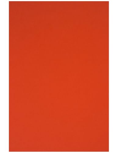 Netuno 200 Blatt Bastelkarton farbig Intensivrot DIN A5 14,8 x 21 cm 230g Rainbow farbiges Kopierpapier bedruckbar für Inkjet Laser Schule Büro Basteln Druckerpapier bunt Bastelpapier Tonpapier von Netuno