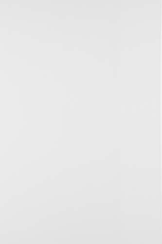 Netuno 20x Bastelkarton Weiß DIN A4 210x 297 mm 230g Splendorgel Extra White weißer Naturkarton Feinkarton bedruckbar zum Basteln Kartenkartons weiß für Einladungen Visitenkarten white card stock von Netuno