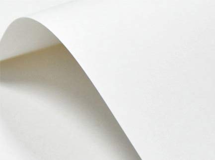 Netuno 20x Bastelkarton Weiß glatt DIN A4 21 x 29,7 cm 246g Elfenbeinkarton Ultraweiß Karton a4 zum Bedrucken für Visitenkarten Einladungs-Karten Menükarten Zertifikate Urkunden Diplome von Netuno