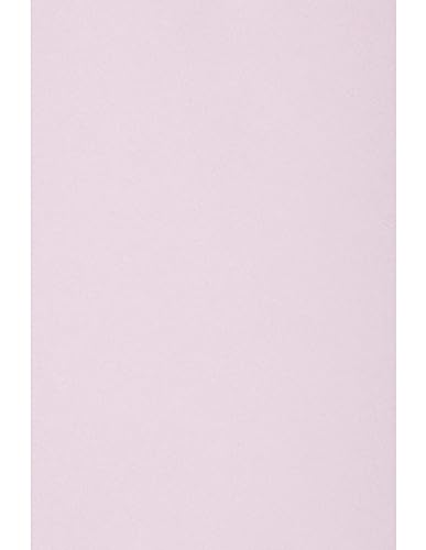 Netuno 25 Blatt Bastelkarton Lila DIN A4 210x 297 mm 160g Circolor Peony Farbkarton a4 Tonpapier Zeichenpapier zum Basteln Druckerpapier Recycling Kopierpapier Umwelt Malpapier Schreibpapier a4 von Netuno