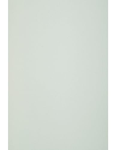 Netuno 25 Blatt Bastelkarton Mint-Grün DIN A4 210x 297 mm 160g Circolor Mint Farbkarton a4 Öko Kopierpapier Buntpapier Recyclingpapier farbiges Papier bedruckbar Druckerpapier Öko-Karton farbig A4 von Netuno