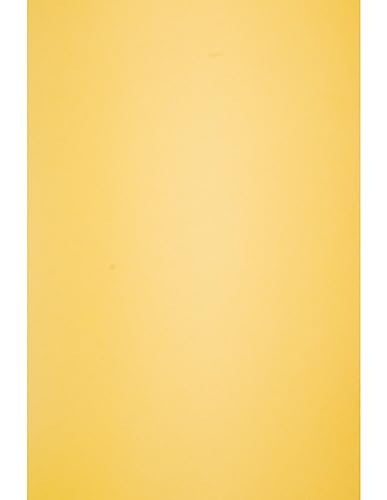 Netuno 25 Blatt Bastelkarton senffarben DIN A4 210x 297 mm 160g Circolor Saffron Farbkarton a4 Recycling Papier farbig Tonpapier Zeichenpapier zum Basteln buntes Papier bedruckbar Briefpapier von Netuno