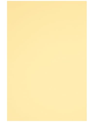 Netuno 40 Blatt Bastelkarton farbig Chamois DIN A5 14,8 x 21 cm 230g Rainbow farbiges Kopierpapier bedruckbar für Inkjet Laser Schule Büro Basteln Druckerpapier bunt Bastelpapier Tonpapier von Netuno