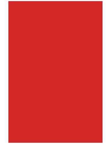 Netuno 40 Blatt Bastelkarton farbig Intensivrot DIN A5 14,8 x 21 cm 230g Rainbow farbiges Kopierpapier bedruckbar für Inkjet Laser Schule Büro Basteln Druckerpapier bunt Bastelpapier Tonpapier Netuno 40 Blatt Bastelkarton farbig Intensivrot DIN A5 14,8 x 21 cm 230g Rainbow farbiges Kopierpapier bedruckbar für Inkjet Laser Schule Büro Basteln Druckerpapier bunt Bastelpapier Tonpapier von Netuno