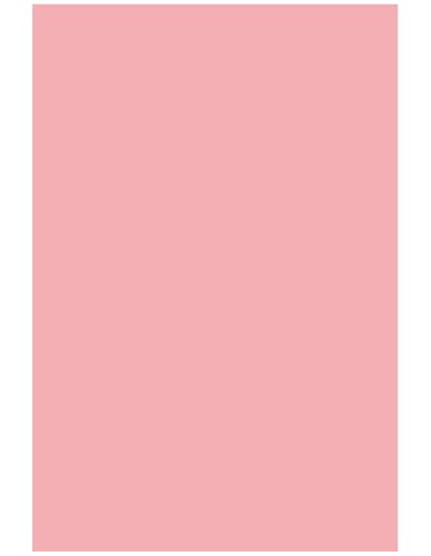 Netuno 40 Blatt Bastelkarton farbig Rosa DIN A5 14,8 x 21 cm 230g Rainbow farbiges Kopierpapier bedruckbar für Inkjet Laser Schule Büro Basteln Druckerpapier bunt Bastelpapier Tonpapier Netuno 40 Blatt Bastelkarton farbig Rosa DIN A5 14,8 x 21 cm 230g Rainbow farbiges Kopierpapier bedruckbar für Inkjet Laser Schule Büro Basteln Druckerpapier bunt Bastelpapier Tonpapier von Netuno