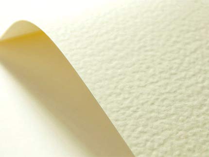Netuno 400x Struktur-Karton Creme Hammerschlag-Prägung DIN A4 21 x 29,7 cm 246g Elfenbeinkarton Chamois Struktur-Papier cremefarben gehämmert Bastel-Karton geprägt gehämmertes Papier Netuno 400x Struktur-Karton Creme Hammerschlag-Prägung DIN A4 21 x 29,7 cm 246g Elfenbeinkarton Chamois Struktur-Papier cremefarben gehämmert Bastel-Karton geprägt gehämmertes Papier von Netuno