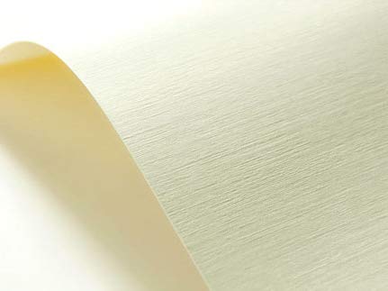 Netuno 400x Struktur-Karton Creme leinen-geprägt DIN A4 21 x 29,7 cm 246g Elfenbeinkarton Chamois Leinen-Struktur-Prägung Bastel-Karton elfenbeinfarben strukturiert Leinen-Optik von Netuno