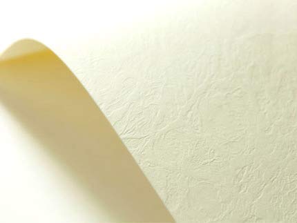 Netuno 400x Strukturkarton Creme ledergenarbt DIN A4 21 x 29,7 cm 246g Elfenbeinkarton Chamois Struktur-Papier elfenbeinfarben Bastel-Karton texturiert Effekt-Karton Leder-Struktur-Prägung Netuno 400x Strukturkarton Creme ledergenarbt DIN A4 21 x 29,7 cm 246g Elfenbeinkarton Chamois Struktur-Papier elfenbeinfarben Bastel-Karton texturiert Effekt-Karton Leder-Struktur-Prägung von Netuno