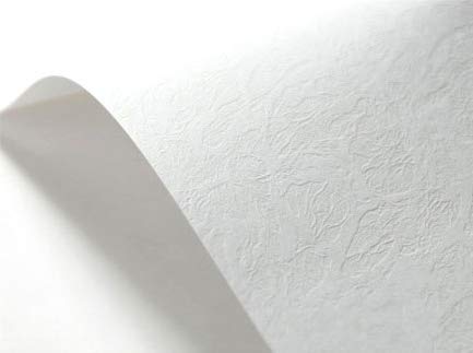 Netuno 400x Weiß Karton ledergenarbt Leder-Struktur-Prägung DIN A4 210x 297 mm 246g Elfenbeinkarton Ultraweiß Struktur-Papier Weiß A4 Bastel-Karton texturiert Effekt-Karton mit Struktur zum Basteln von Netuno