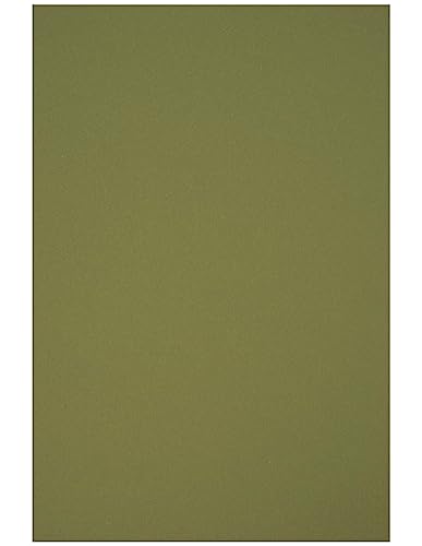 Netuno 50 Blatt Bastelpapier Grün DIN A4 210x 297 mm 80g Circolor Rosemary Farbpapier a4 Grün Buntpapier zum Basteln Tonpapier Tonzeichenpapier Öko Multifunktionspapier Farbkopierpapier Umwelt von Netuno