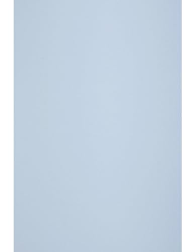 Netuno 50 Blatt Bastelpapier Hell-Blau DIN A4 210x 297 mm 80g Circolor Hibiscus Farbpapier A4 blau ökologisch Kopierpapier grün doppelseitig Zeichenpapier Skizzenpapier multifunktionales Büropapier von Netuno