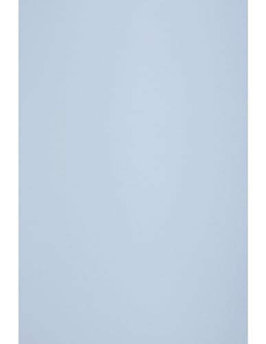 Netuno 50 Blatt Bastelpapier Hell-Blau DIN A4 210x 297 mm 80g Circolor Hibiscus Farbpapier A4 blau ökologisch Kopierpapier grün doppelseitig Zeichenpapier Skizzenpapier multifunktionales Büropapier von Netuno