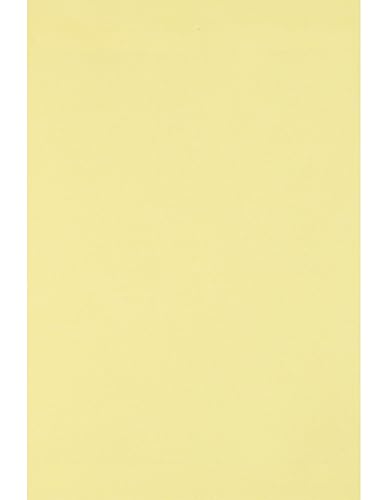 Netuno 50 Blatt Bastelpapier Hell-Gelb DIN A4 210x 297 mm 80g Circolor Camomile Farbpapier a4 gelb doppelseitig zum Malen Beschreiben Zeichenpapier Skizzenpapier Druckerpapier farbig Öko-Papier von Netuno