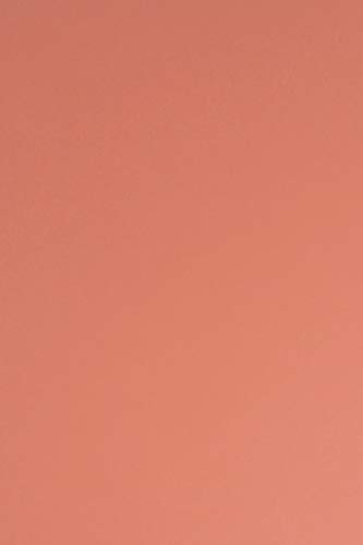 Netuno 50 Blatt Tonpapier Flamingo-Pink DIN A4 210× 297 mm 115g Sirio Color Flamingo Bastel-Papier bedruckbar A4 Ton-Zeichen-Papier für Hochzeit Geburtstag Taufe Weihnachten Einladungs-Karten Netuno 50 Blatt Tonpapier Flamingo-Pink DIN A4 210× 297 mm 115g Sirio Color Flamingo Bastel-Papier bedruckbar A4 Ton-Zeichen-Papier für Hochzeit Geburtstag Taufe Weihnachten Einladungs-Karten von Netuno