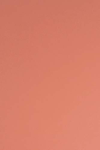 Netuno 50 Blatt Tonpapier Flamingo-Pink DIN A4 210× 297 mm 115g Sirio Color Flamingo Bastel-Papier bedruckbar A4 Ton-Zeichen-Papier für Hochzeit Geburtstag Taufe Weihnachten Einladungs-Karten von Netuno