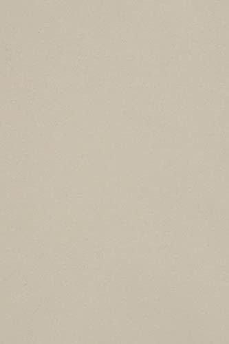 Netuno 50 x Tonkarton DIN A3 297x 420 mm Hellgrau 250g Burano Grigio Bastelkarton einfarbig Fotokarton A3 bunt durchgefärbt Feinpapier DIY Bogen Kreativ-Karton farbig buntes Tonpapier von Netuno