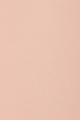 Netuno 50 x Tonkarton DIN A3 297x 420 mm Hellrosa 250g Burano Rosa Bastelkarton einfarbig Fotokarton A3 bunt durchgefärbt Feinpapier DIY Bogen Kreativ-Karton farbig buntes Tonpapier von Netuno