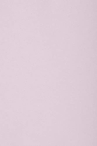 Netuno 50 x Tonkarton DIN A3 297x 420 mm Lila 250g Burano Lilla Bastelkarton einfarbig Fotokarton A3 bunt durchgefärbt Feinpapier DIY Bogen Kreativ-Karton farbig buntes Tonpapier von Netuno