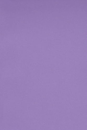 Netuno 50 x Tonkarton DIN SRA3 320x 450 mm Violett 250g Burano Violet Bastelkarton bunt durchgefärbt Fotokarton zum Basteln und Gestalten Bogen groß Buntkarton Tonzeichenpapier Bastelpapier von Netuno