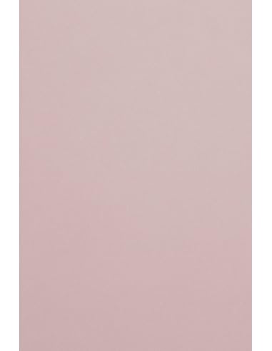 Netuno 50x farbiges Tonpapier Hell-Rosa DIN A4 21 x 29,7 cm 120g Malmero Rose Antique Bastelpapier rosa töne farbig bedruckbar Farbpapier Kartonpapier bunt hochwertig für Broschüren Einladungen Netuno 50x farbiges Tonpapier Hell-Rosa DIN A4 21 x 29,7 cm 120g Malmero Rose Antique Bastelpapier rosa töne farbig bedruckbar Farbpapier Kartonpapier bunt hochwertig für Broschüren Einladungen von Netuno