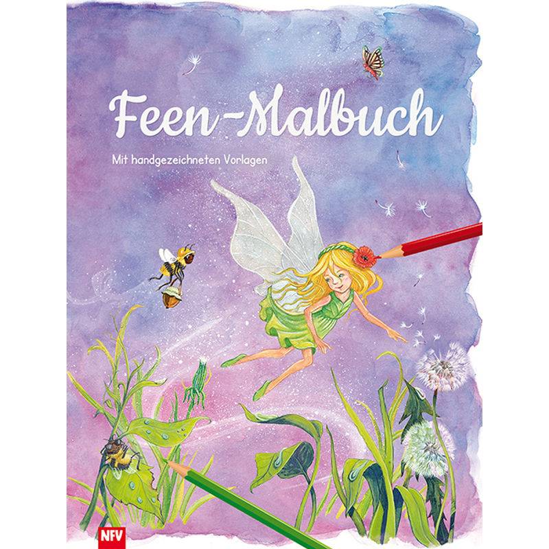 Feen - Malbuch, Kartoniert (TB) von Neuer Favorit Verlag