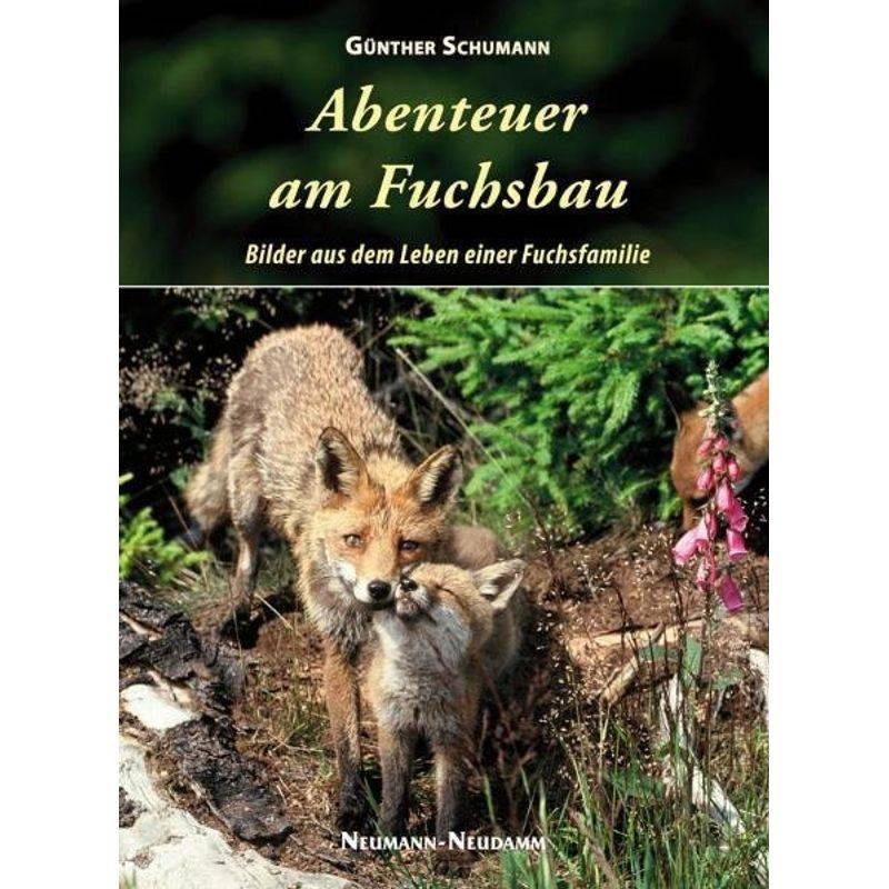 Abenteuer Am Fuchsbau - Günther Schumann, Gebunden von Neumann-Neudamm