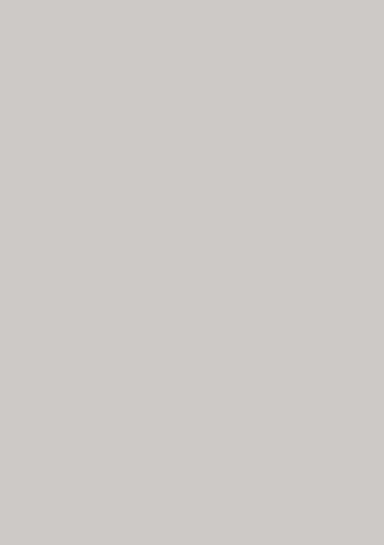 Kopierkarton MAESTRO® color, intensivfarben, 160 g/qm, A4, PG=250 BL, grau von Mondi