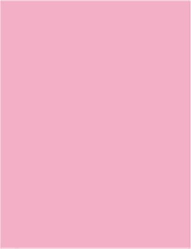 Kopierpapier 80g A6 farbig, Pastellfarben 2000 Blatt, Farbe:flamingo Kopierpapier 80g A6 farbig, Pastellfarben 2000 Blatt, Farbe:flamingo von Neusiedler Mondi