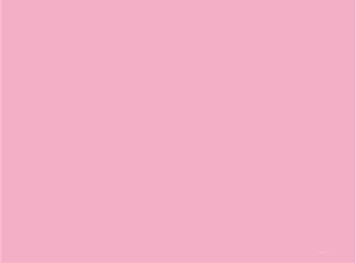 Kopierpapier 80g A6 farbig, Pastellfarben 2000 Blatt, Farbe:rosa von Neusiedler Mondi