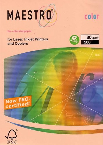 Kopierpapier Lachs A3 80G 500Bl pastell Kopierer/Laser/Inkjet von Neusiedler Mondi