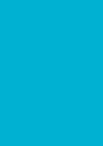 MONDI BUSINESS PAPER 120G MAESTRO-COLOR-INT. PACKUNG, AB48A12 MONDI BUSINESS PAPER 120G MAESTRO-COLOR-INT. PACKUNG, AB48A12 von Neusiedler Mondi