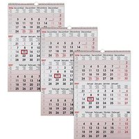 3 3-Monats-Wandkalender 2026 3 3-Monats-Wandkalender 2026 von Neutral