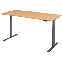 Base Lite elektrisch höhenverstellbarer Schreibtisch buche rechteckig, T-Fuß-Gestell grau 180,0 x 80,0 cm von Neutral