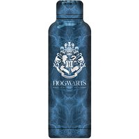 Trinkflasche Harry Potter blau 0,5 l von Neutral