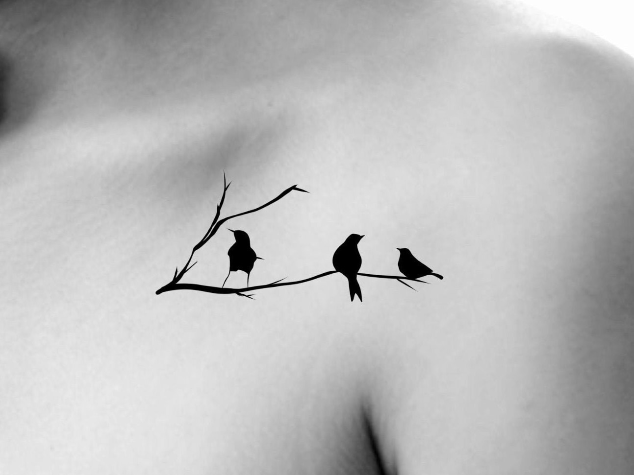 Vögel Auf Ast Temporäres Tattoo von NewYouTattoo