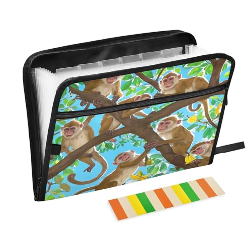 Affen im Baum, Fächermappe mit Reißverschluss, 13 Taschen, Akkordeon-Dokumenten-Organizer für Arbeit und Zuhause, Blau / Grün Affen im Baum, Fächermappe mit Reißverschluss, 13 Taschen, Akkordeon-Dokumenten-Organizer für Arbeit und Zuhause, Blau / Grün von Nexawaveo
