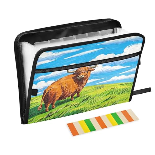 Akkordeon-Aktenordner, Highland Cow on Green Hill, 13 Fächer, erweiterbar, mit Etiketten, Rechnungen, Quittungen, Dokumentenhalter von Nexawaveo