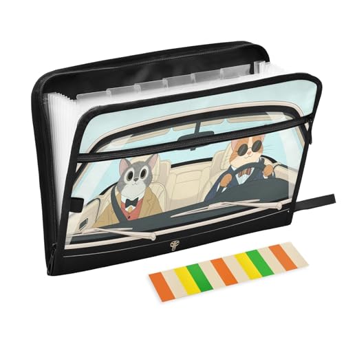 Akkordeon-Aktenordner für Herren, Katzen, 13 Fächer, erweiterbar, mit Etiketten, Rechnungen, Quittungen, Dokumentenhalter von Nexawaveo