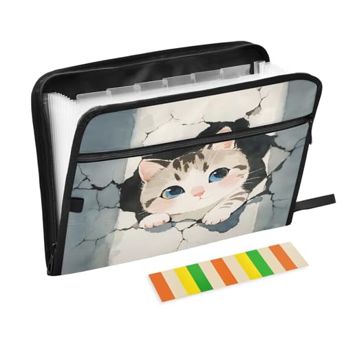 Akkordeon-Aktenordner mit 13 Fächern, erweiterbar, mit Etiketten, für Rechnungen, Quittungen, Dokumente, Aquarell, Kätzchen, Grau Akkordeon-Aktenordner mit 13 Fächern, erweiterbar, mit Etiketten, für Rechnungen, Quittungen, Dokumente, Aquarell, Kätzchen, Grau von Nexawaveo