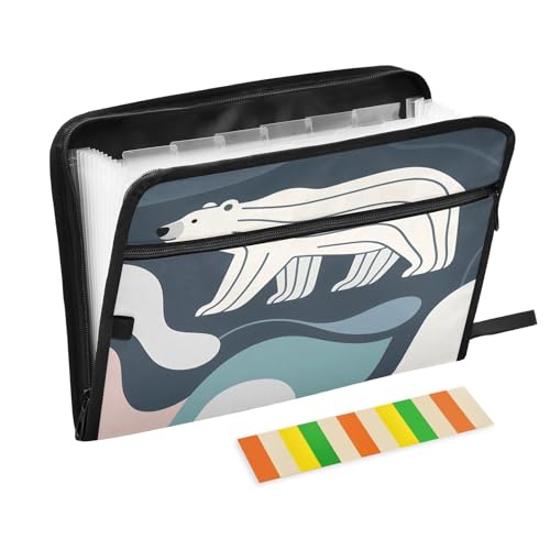 Akkordeon-Aktenordner mit 13 Fächern, erweiterbar, mit Etiketten, für Rechnungen, Quittungen, Dokumente, Blau von Nexawaveo