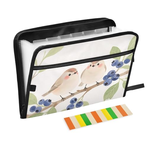 Akkordeon-Aktenordner mit niedlichem Vogelmotiv, 13 Fächer, erweiterbar, mit Etiketten, Rechnungen, Quittungen, Dokumentenhalter Akkordeon-Aktenordner mit niedlichem Vogelmotiv, 13 Fächer, erweiterbar, mit Etiketten, Rechnungen, Quittungen, Dokumentenhalter von Nexawaveo