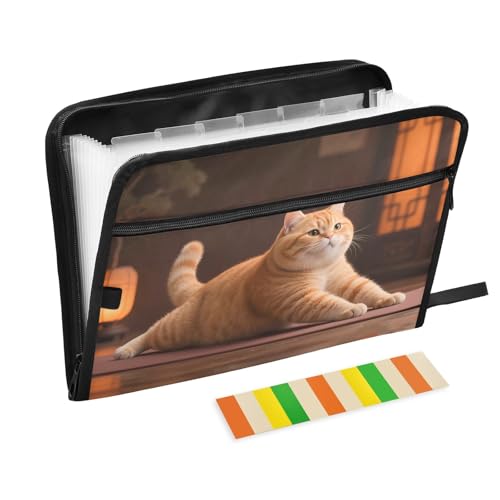 Akkordeon-Aktenordner mit niedlicher Katze, 13 Fächer, erweiterbar, mit Etiketten, Rechnungen, Quittungen, Dokumentenhalter von Nexawaveo