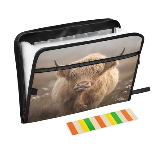 Autumn Grass Highland Cattle Fächermappe mit 13 Fächern, A4, Dokumenten-Organizer mit Reißverschluss Autumn Grass Highland Cattle Fächermappe mit 13 Fächern, A4, Dokumenten-Organizer mit Reißverschluss von Nexawaveo