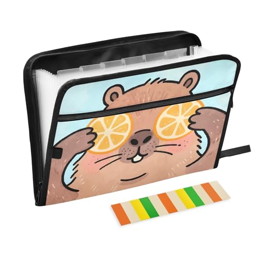 Capybara Fächermappe mit 13 Fächern, A4, mit Reißverschluss, Orange von Nexawaveo