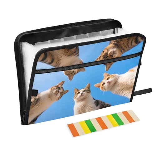 Cat Group Fächermappe mit 13 Fächern, A4, mit Reißverschluss, Blau von Nexawaveo